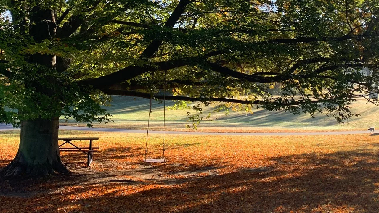 A large shade tree and park lawn in Crestwood